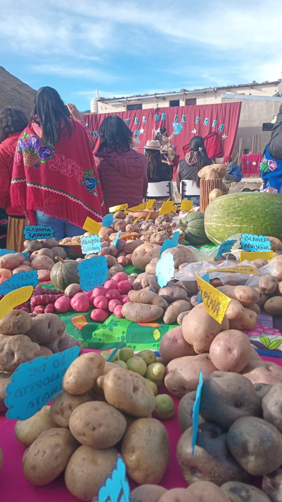 Santa Ana se consolida como epicentro de la producción de papa andina en Argentina