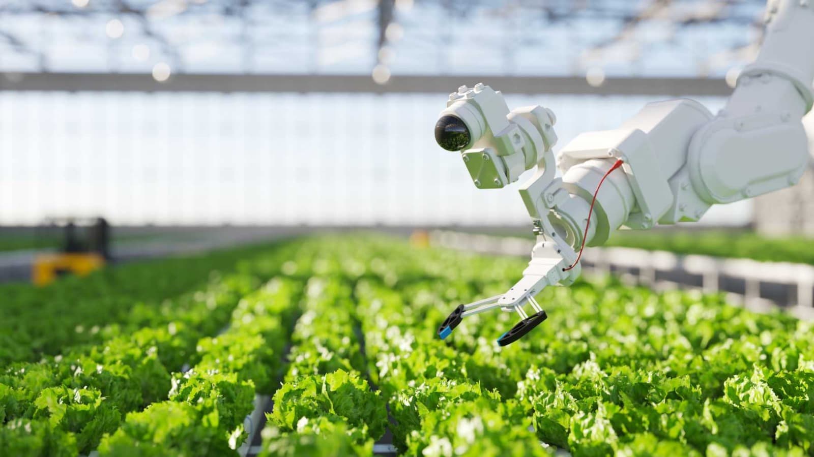 EL CONTRATISTA ARGENTINO EN EL PODIO MUNDIAL DE TECNOLOGÍA: DEL ANCHO DE LABOR AL “INTERNET DE LAS PLANTAS”