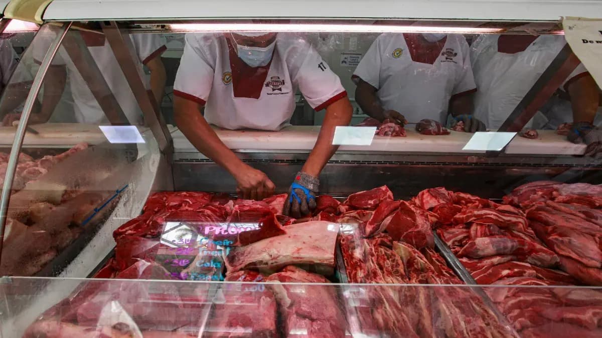 DE MAL EN PEOR: DEFRIGORÍFICOS EN ALERTA ROJA