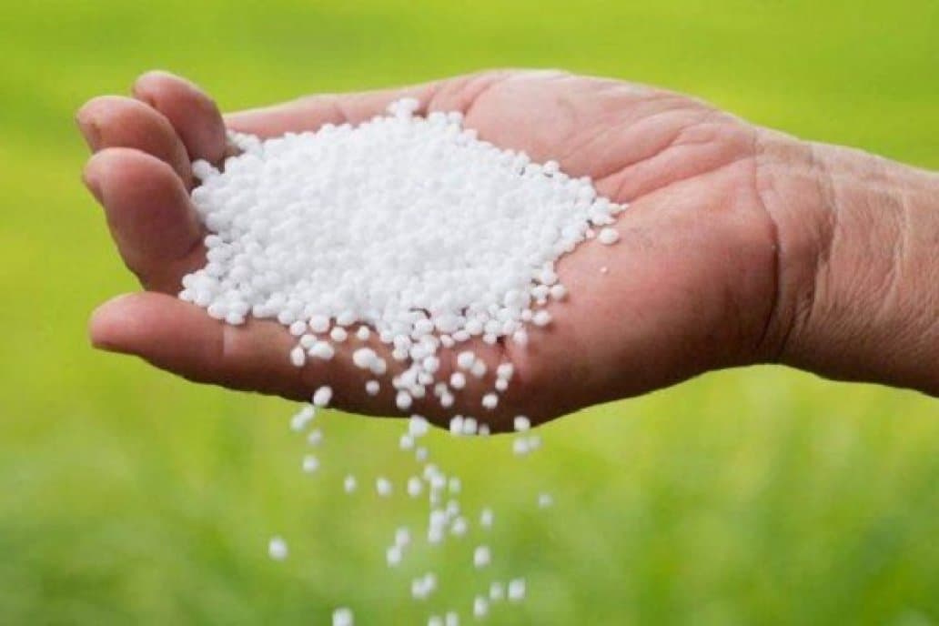 ALERTA EN LA FERTILIZACIÓN: LA GUERRA EN EL GOLFO DISPARA EL PRECIO DE LA UREA