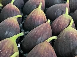 DEL DESCARTE AL MERCADO: LA UNJU TRANSFORMA HIGOS Y HUESOS DE LLAMA EN PRODUCTOS DE EXPORTACIÓN.