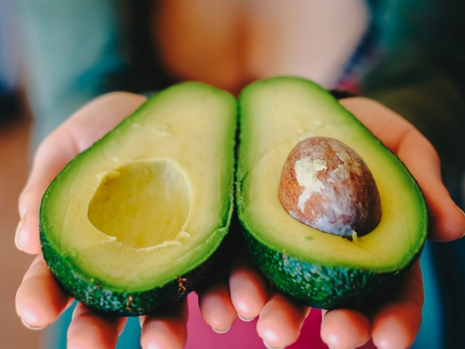 EL “ORO VERDE” QUE JUJUY PRODUCE PERO ARGENTINA IMPORTA: LA PARADOJA DE LA PALTA HASS