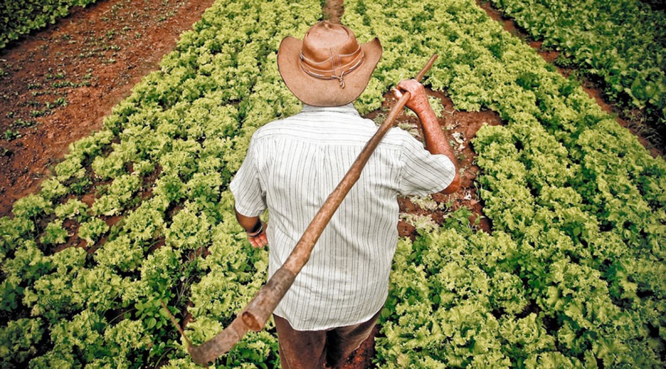 DE LA SEMILLA A LA TIERRA: EL CRÉDITO AGROPECUARIO APUESTA AL LARGO PLAZO EN 2026