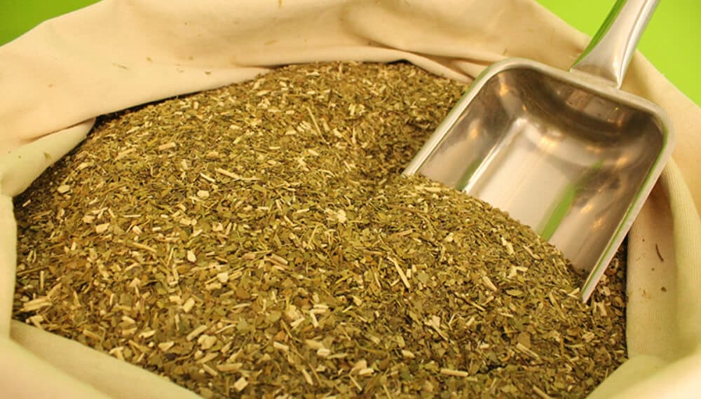 ARGENTINA RECUPERA EL TRONO: RÉCORD HISTÓRICO DE EXPORTACIÓN DE YERBA MATE EN 2025
