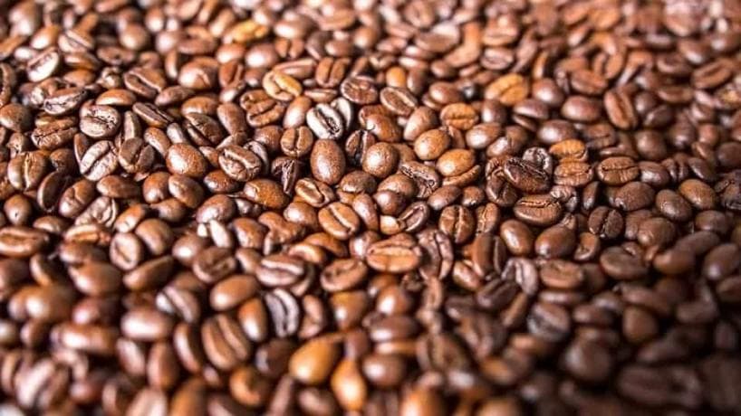 CAFÉ EN EL NOA: TUCUMÁN PROYECTA ESCALA COMERCIAL PARA 2026