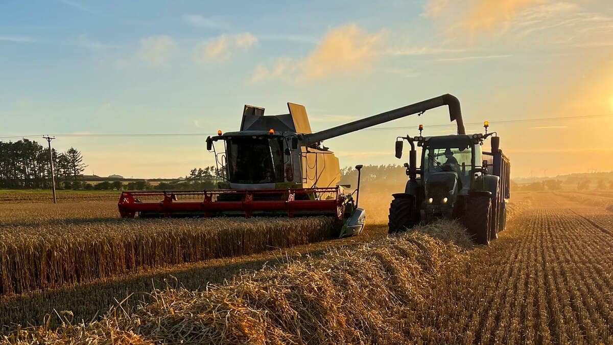 ALIVIO FISCAL PARA EL CAMPO: REGLAMENTAN EL RIMI CON BENEFICIOS EXCLUSIVOS PARA RIEGO, MALLAS Y GENÉTICA.