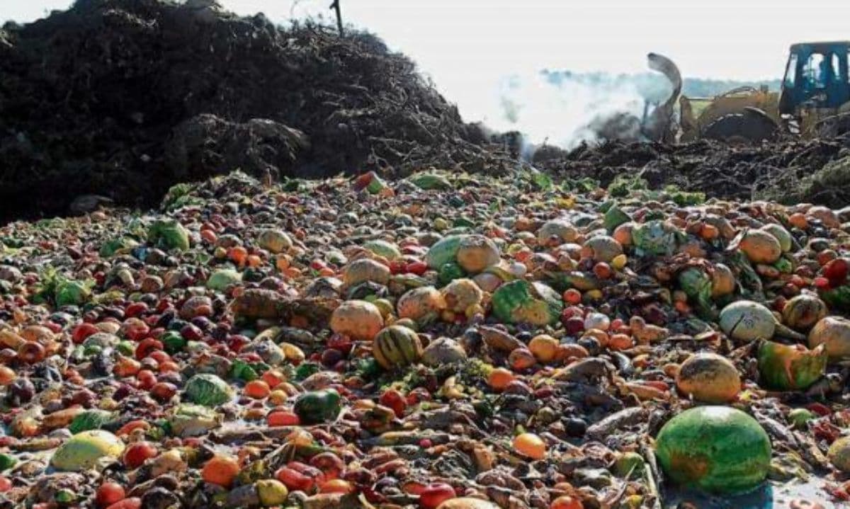 ALIANZA CON ALEMANIA: ENTRE RÍOS TRANSFORMA RESIDUOS AGROINDUSTRIALES EN YACIMIENTOS DE ENERGÍA LIMPIA