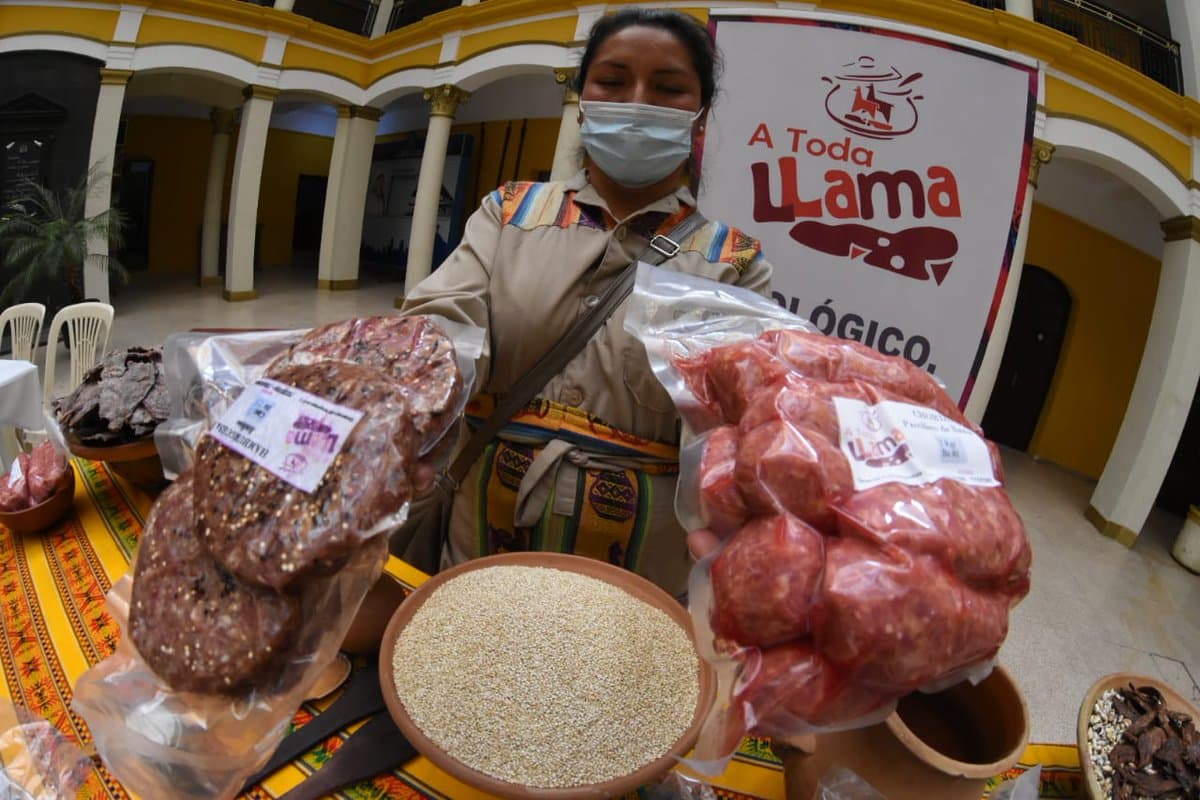 NUEVAS PROTEÍNAS EN LA MESA: EL AVANCE DE LAS CARNES DE LLAMA, GUANACO Y BURRO FRENTE A LA CRISIS