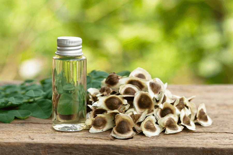 BIOTECNOLOGÍA NATURAL: USAN SEMILLAS DE MORINGA PARA ELIMINAR MICROPLÁSTICOS DEL AGUA
