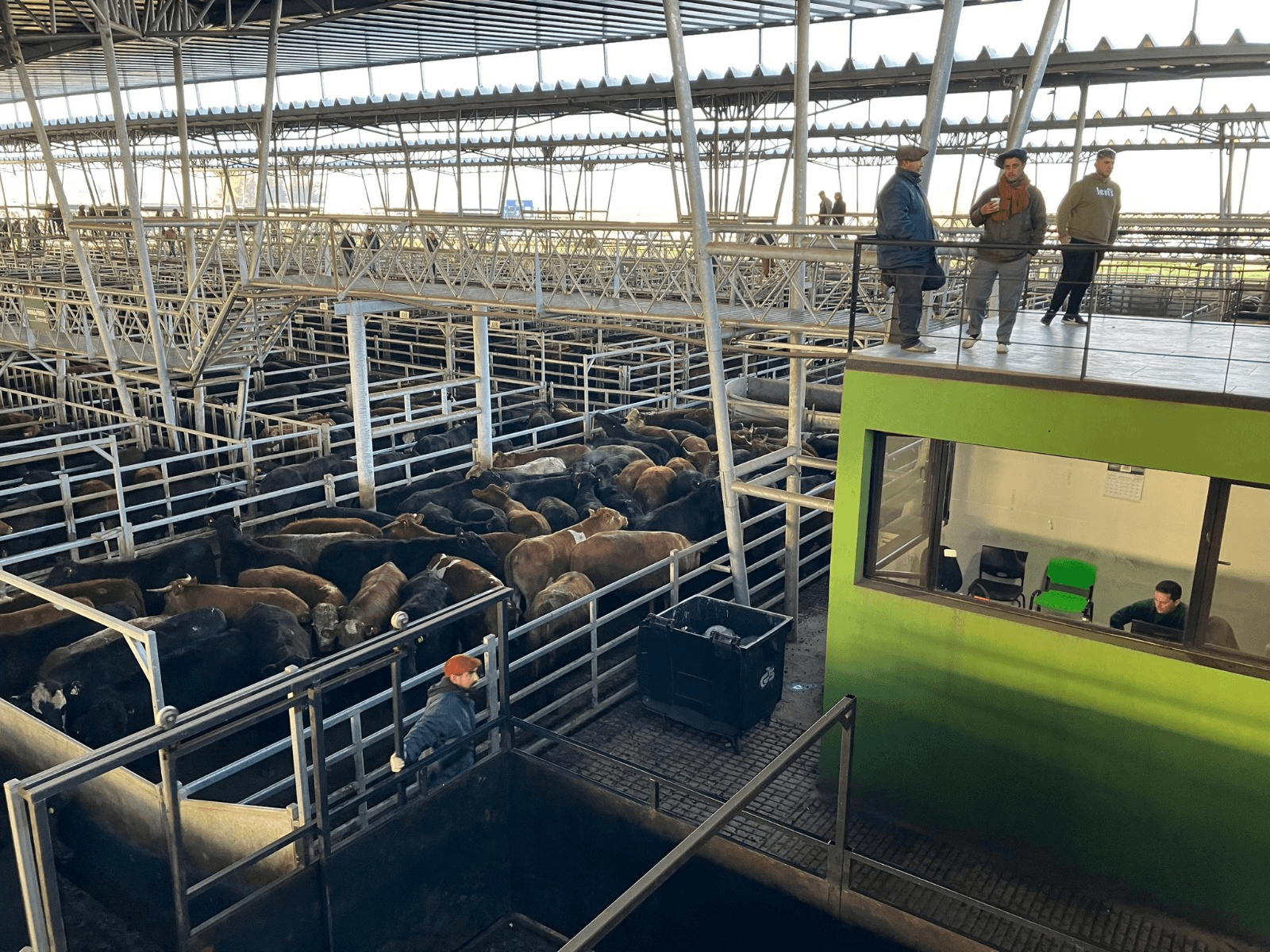 RADIOGRAFÍA GANADERA: LANZAN MAPAS DE CALOR PARA IDENTIFICAR NÚCLEOS DE PRODUCCIÓN DE CARNE Y LECHE
