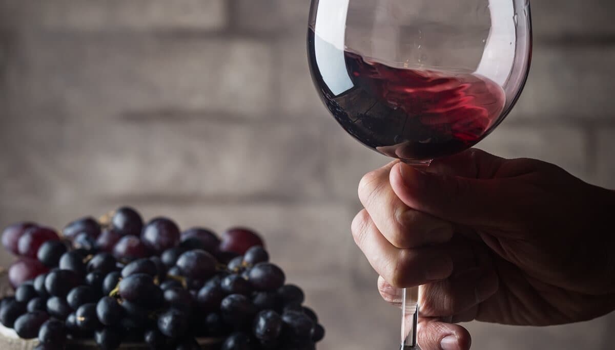 BRINDIS POR EL CONSUMO: EL DESPACHO DE VINOS CRECIÓ UN 8,4% EN MARZO