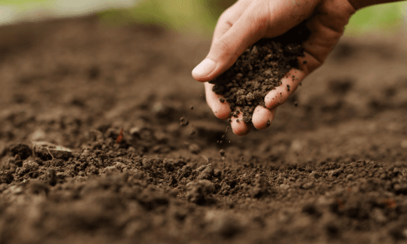 CONSERVACIÓN DE SUELOS: CÓMO REDUCIR LA EROSIÓN HASTA UN 54% EN SISTEMAS PRODUCTIVOS