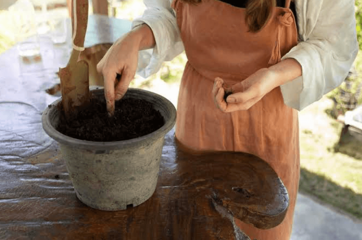 INNOVACIÓN SUSTENTABLE: LA UNMDP LIDERA PROYECTO PARA REUTILIZAR RESIDUOS DE CAFÉ