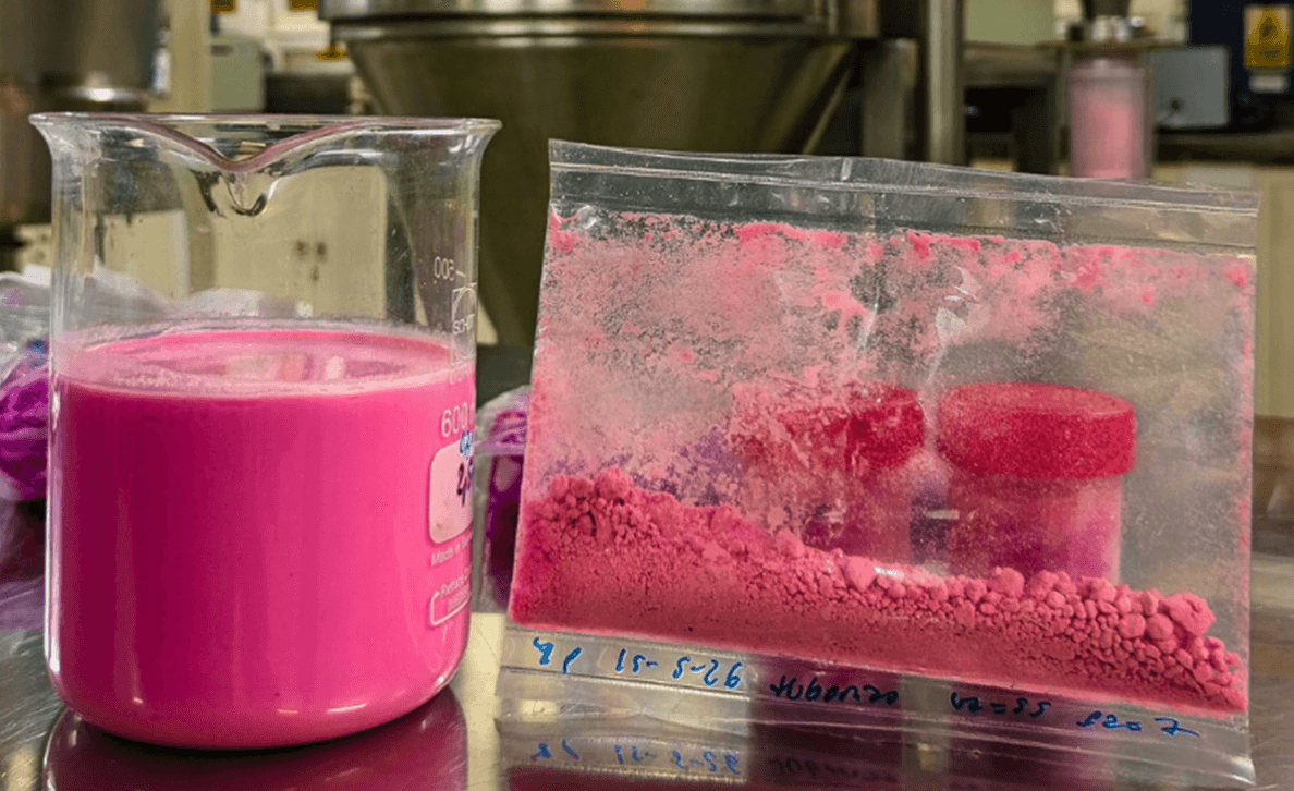 LA UNJU DESARROLLAN UN YOGUR EN POLVO DE LECHE DE CABRA CON PITAYA ROJA